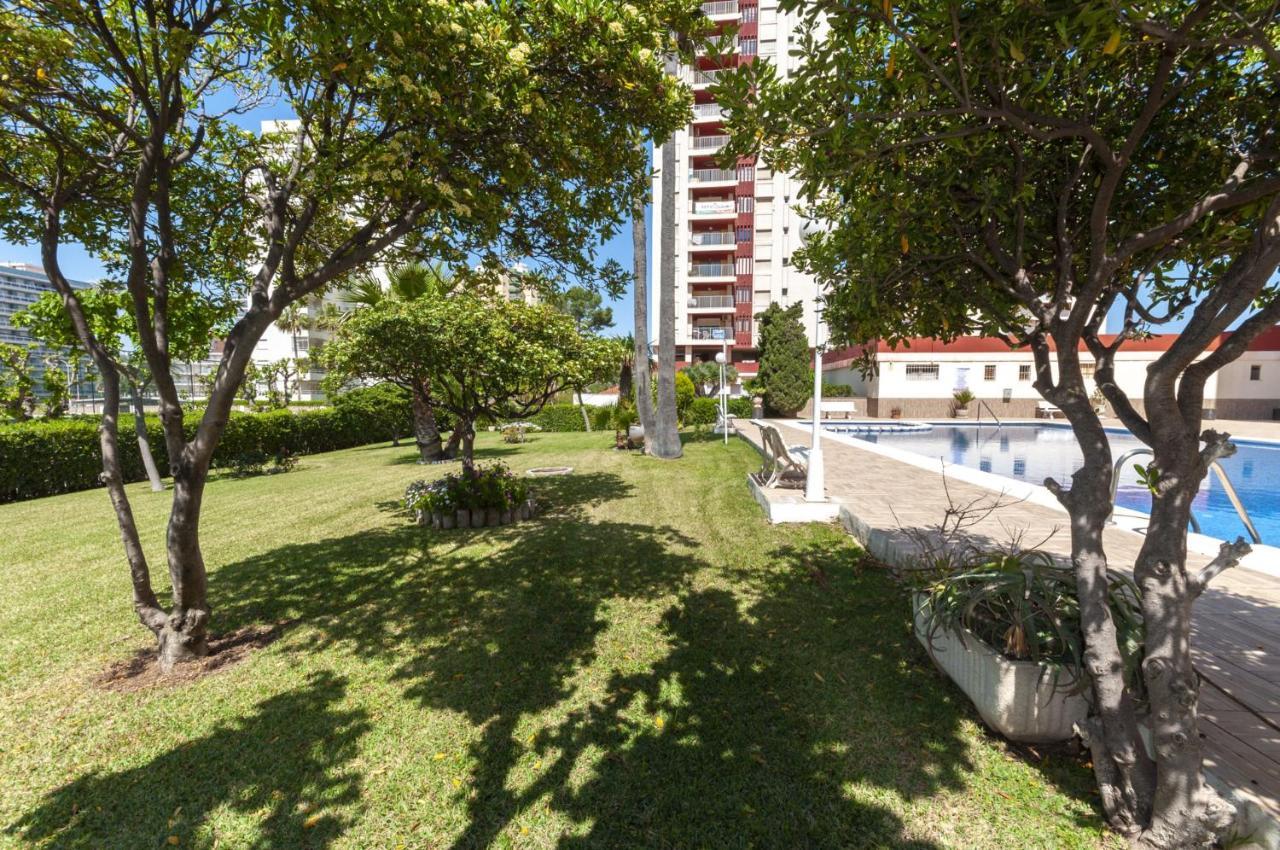 Apartamento Ag Aquarium Playa de Gandía Exterior foto